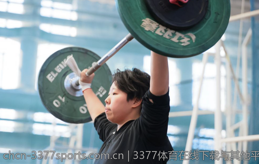 3377体育在线下载与其他平台的比较