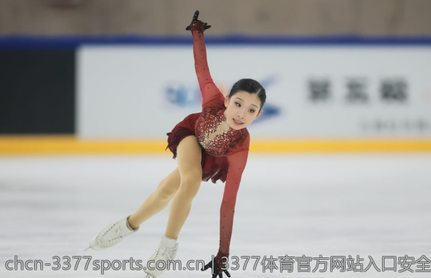 3377体育官方网站入口安全性评估