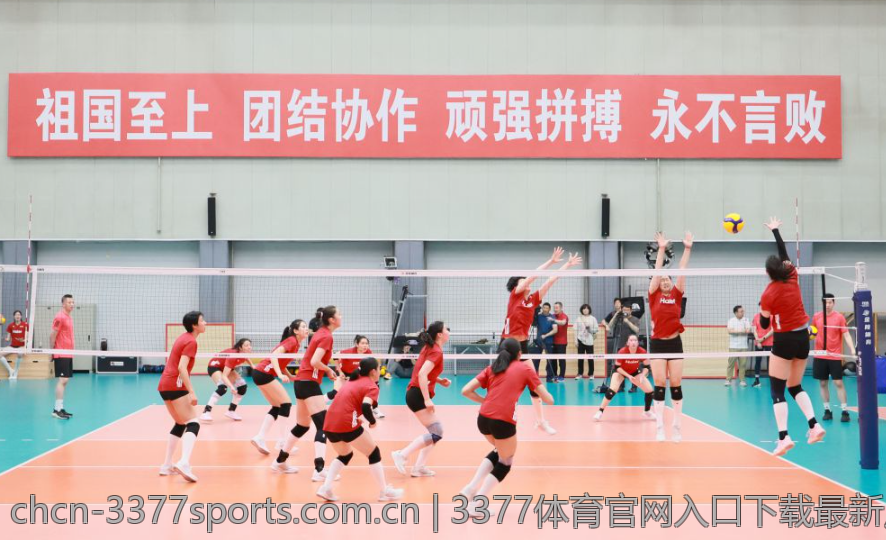 3377体育官网入口下载最新用户反馈意见整合